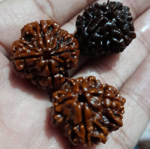4 Mukhi Rudraksha Mala