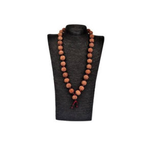 6 Mukhi Rudraksha Mala