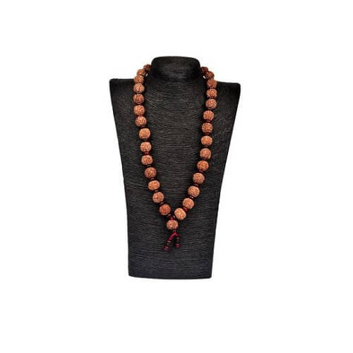 6 Mukhi Rudraksha Mala