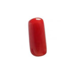 Precious Red Coral