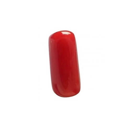 Precious Red Coral
