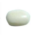 Semi White Coral